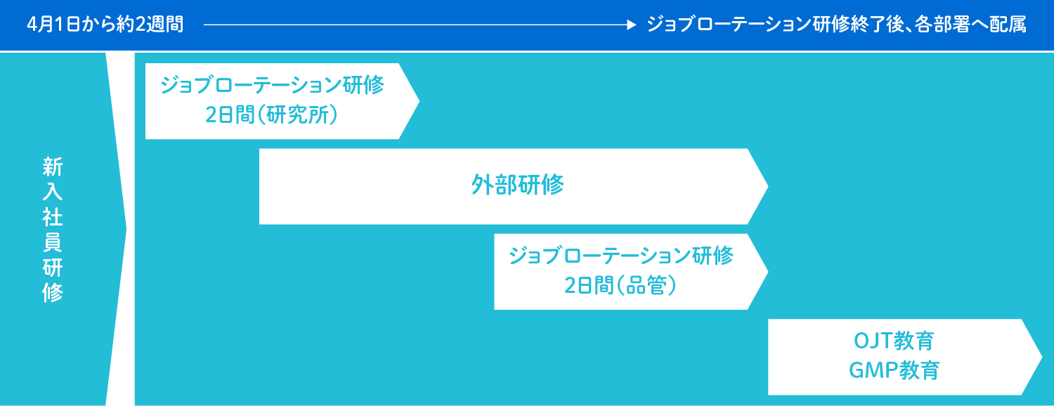 新入社員教育スケジュール