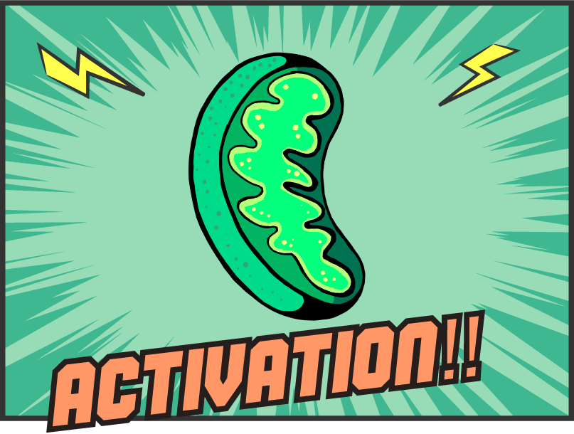 activation!!